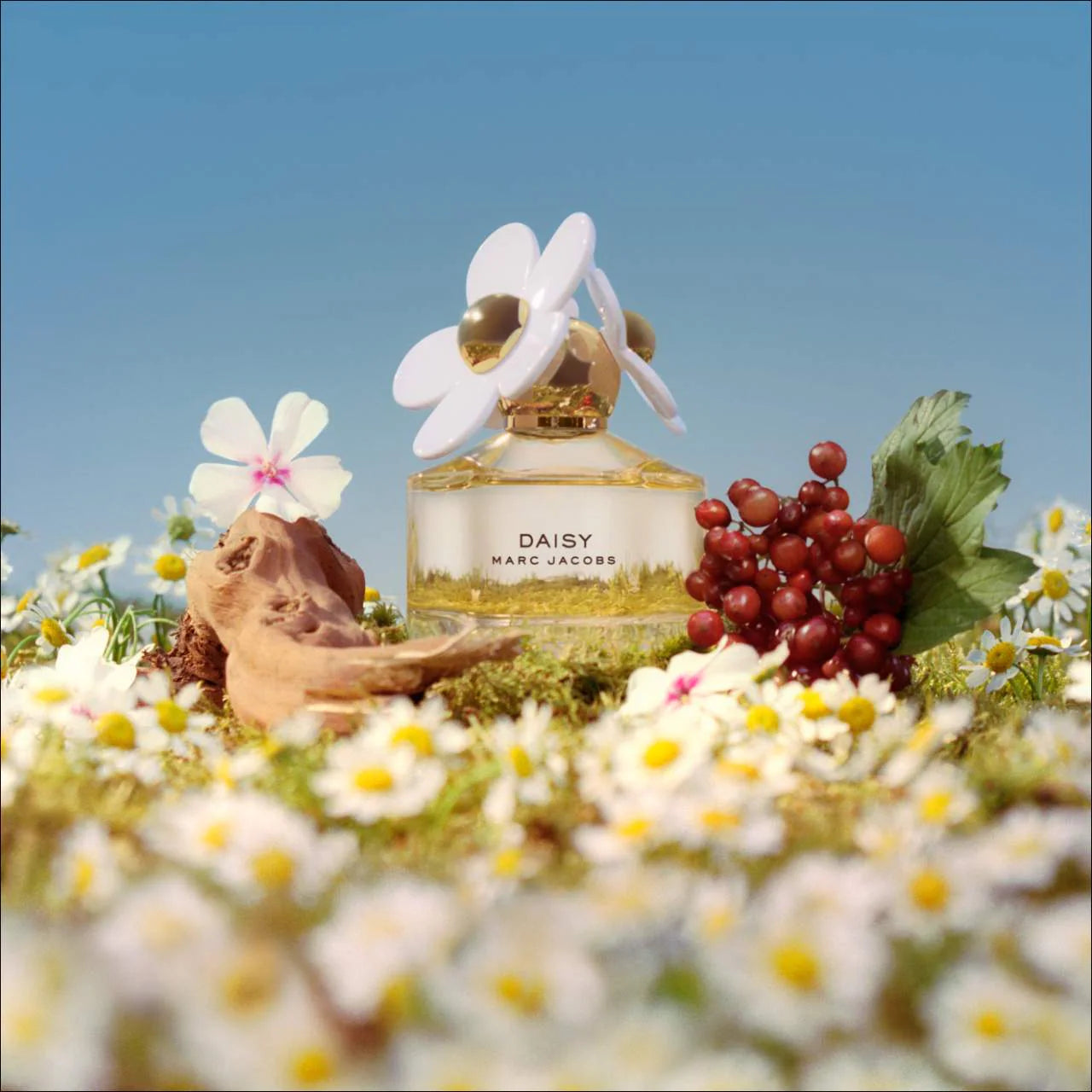 Marc Jacobs Fragrances Daisy Travel Spray Trio Perfume Gift Set
